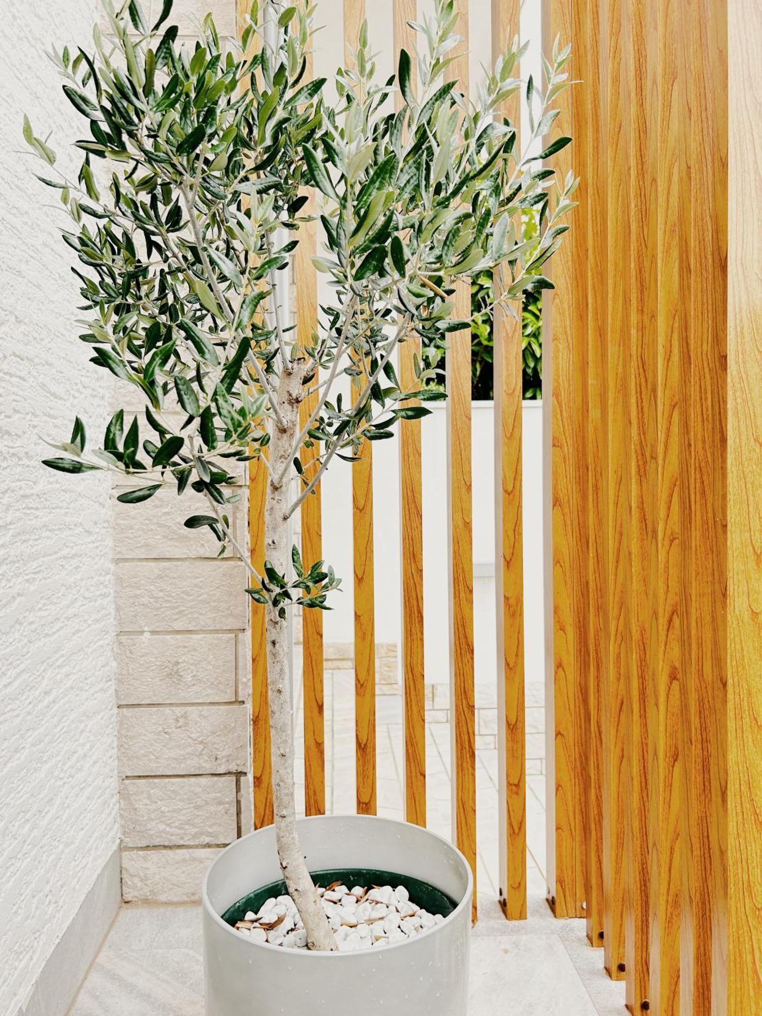 Sunny House Apartamento Zambratija  Exterior foto